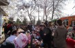 Food Park