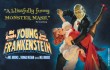 Young Frankenstein runs thru Thu at McDavid Studio.