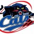 FW Cats