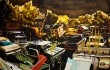 Joshua West’s “Arrested Motion”