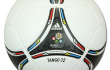 Tango_12_match_ball_of_EURO_2012