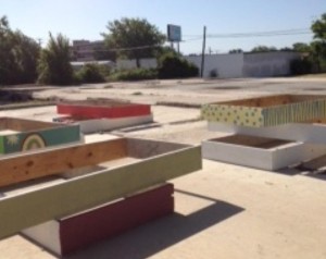 SOME OF THE STOLEN GARDEN BEDS.