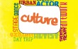 Best Of 2012, Fort Worth Culture