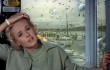 The Birds, celebrating its 50th anniversary, screens at 7pm at various movie theaters