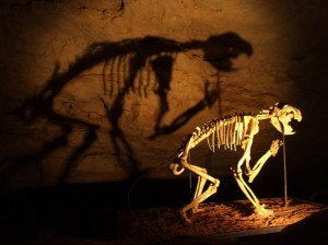 dinosaur THEY'RE BAAAAACK......!