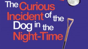 The Curious Incident of the Dog in the Night-Time screens Wednesday at 2pm and 7pm at the Modern Art Museum of Fort Worth.