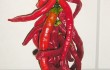 red chili
