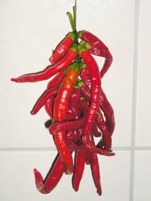 red chili red chili