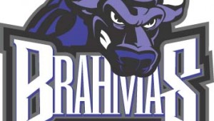texas-brahmas