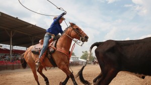 Illinois High School Students Compete In State Rodeo Championships