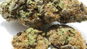 Marijuana_2