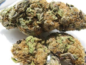 Marijuana_2 Marijuana_2