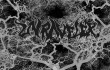 Unraveler’s debut CD has been a long time coming but is worth the wait.