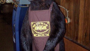 Angelo's Bear