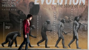 Nicholas Hoult ponders his place in Darwinian theory in Warm Bodies.