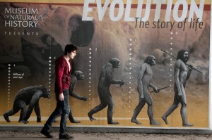 FILM Nicholas Hoult ponders his place in Darwinian theory in Warm Bodies.