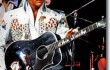 elvis