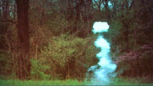 Austin Stewart’s “Roadside Seed Bomb”