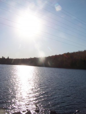 solar (flickr photo by andyarthur)