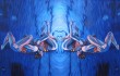 Devon Nowlin’s “Swimmers Submerged” is emblematic of her affinity for life’s peripheries.