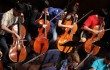 TCU Cellofest runs Thu-Sun.