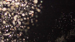V.I.P.'s bartender says “Doors shut, there are strange noises, and we’ve seen lots of pictures that are full of orbs.”