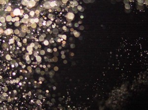 VIP V.I.P.'s bartender says “Doors shut, there are strange noises, and we’ve seen lots of pictures that are full of orbs.”