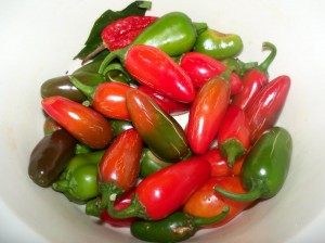 peppers GRUB BUDDY'S FAVORITE FOOD GROUP.