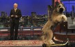stupid-pet-tricks