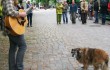 Keegan performs at the opening of the Lindenmarkt.