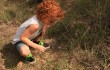 A KID DISCOVERS A WILDFLOWER (photo by Chris Emory)
