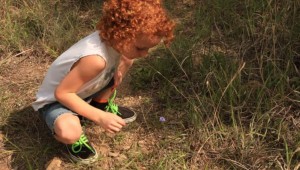 A KID DISCOVERS A WILDFLOWER (photo by Chris Emory)