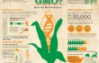 geneticallymodifiedfood