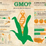 geneticallymodifiedfood geneticallymodifiedfood