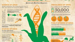geneticallymodifiedfood