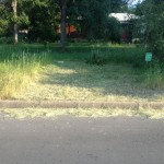 DON YOUNG WAS SURPRISED TO FIND A STRANGER WACKING DOWN HIS FRONT YARD WILDLIFE HABITAT EARLIER THIS WEEK.