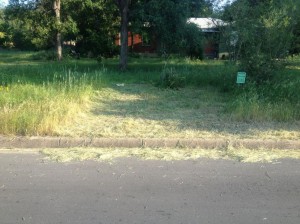 wacker DON YOUNG WAS SURPRISED TO FIND A STRANGER WACKING DOWN HIS FRONT YARD WILDLIFE HABITAT EARLIER THIS WEEK.