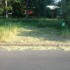 DON YOUNG WAS SURPRISED TO FIND A STRANGER WACKING DOWN HIS FRONT YARD WILDLIFE HABITAT EARLIER THIS WEEK.