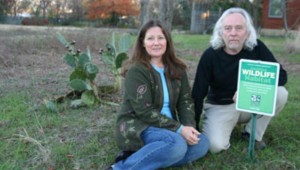 DEBORA AND DON YOUNG ARE THE PROUD PARENTS OF A NATIVE PRAIRIE YARD. (jeff prince file photo from 2006)