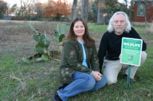 youngs DEBORA AND DON YOUNG ARE THE PROUD PARENTS OF A NATIVE PRAIRIE YARD. (jeff prince file photo from 2006)