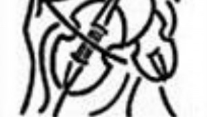 Chamber Music Society logo