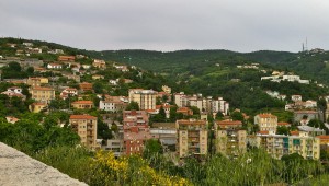 IMG_3915-1 (2)