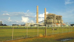 FEATURE_1 At Luminant’s Martin Lake plant, eight months of coal waste discharge killed off major portions of the fish in a nearby lake. Jimmy Alford