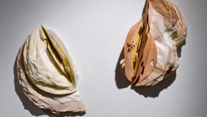 Delaney Smith’s “Battlefield”