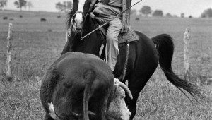 LBJ at home on the range. AP Photo/Bill Hudson