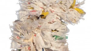 Jeb Berrier’s documentary Bag It screens Wednesday at Fort Worth Botanic Garden