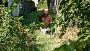 Malloy, in the jungle-like alley behind his house: “Is the city going to fine itself?” Jeff Prince