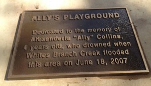 plaque