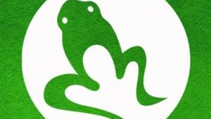 amphibian