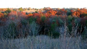 AUTUMN AT TANDY HILLS (all photos courtesy by Don Young)